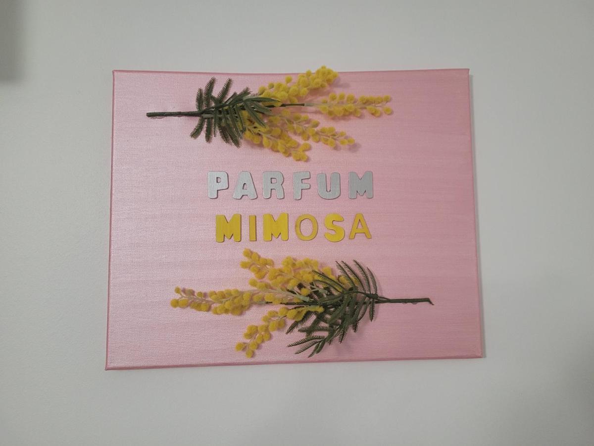 Ferienwohnung Parfum Mimosa Grasse Exterior foto